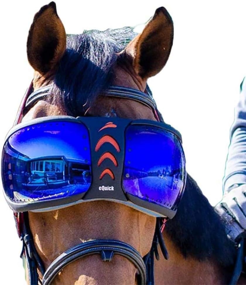 eQUICK eVYSOR - 目を保護する乗馬 - オリジナル製品 - イタリア製 - オレンジ
