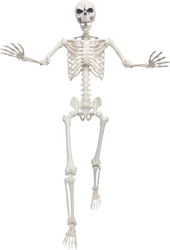 Lodou 5.4ft/165cm Life Size Skeleton,Giant Skeleton Full Body Realistic Bones with Movable Joints for Halloween Decorations Outdoor (Gray, 5.4Ft)