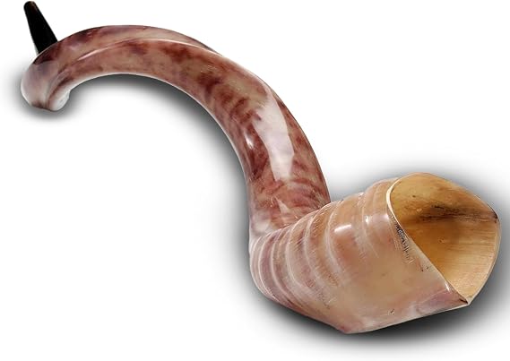 Yemenite Shofar Kosher and Polish - 40" To 43"