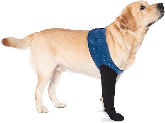COODEO Dog Socks to Prevent Licking Paws, Healing Boots & Paw Protectors with Non-Slip Bottoms for Wound Protection, Waterproof Sleeve Shoes for Licking(Blue,XL_Left