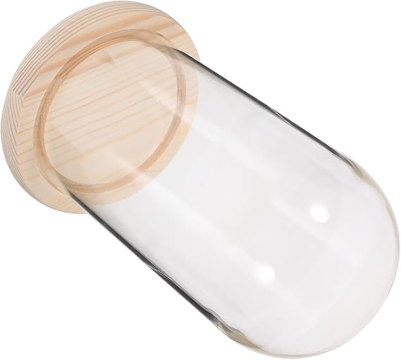 Glass Unique for Wooden Display with Cloche Dome Flower Base and Decorative Storage, Delicate Design for Valentine's Day and Home Décor