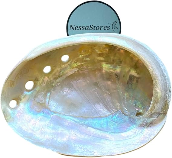 NessaStores 6 Abalone Shells 2.5 to 3.5 Inches | Beautiful All Natural Smudge Bowl - Perfect for Smudge Sticks, Incense Sticks and a Sage Smudge Kit. JC-020