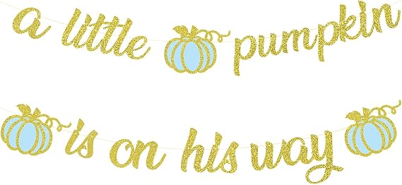 A Little Pumpkin is On His Way Banner,Little Pumpkin Banner,Little Pumpkin Baby Shower Decorations Boy,Pumpkin First Birthday Boy,Fall Baby Shower Decorations for Boy