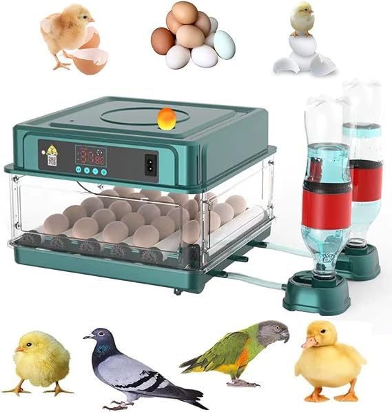 Egg Incubator,24pcs Hatched Egg Incubator,Egg Incubator with Automatic Egg Rotation and Humidity Control,Egg Incubator,Pigeon Egg