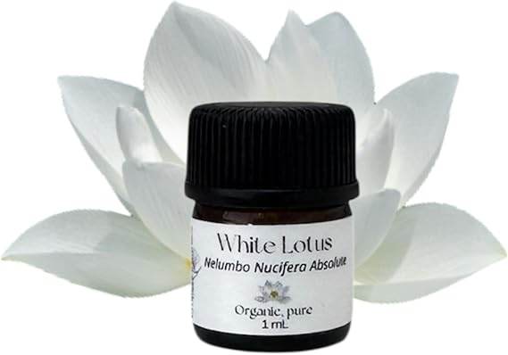 White Lotus Absolute Oil, Organic, Pure, Natural 1 mL