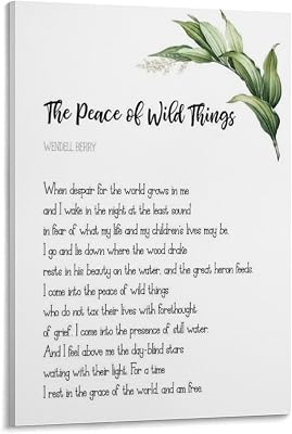 MOJDI The Peace of Wild Things Poem by Wendell Berry When Despair for The World Grows in Meard I Wake in T Canvas Painting Wall Art Poster for Bedroom Living Room Decor 12x18inch30x45cm Frame-style