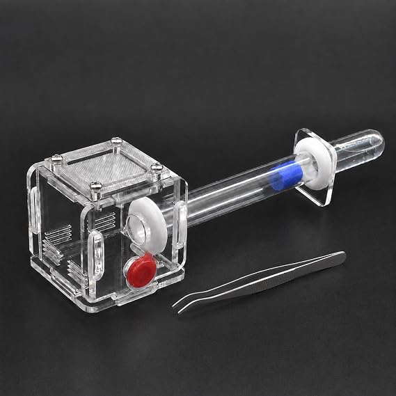 Mini Queen Ant Nest with Test Tube 2 x 2 x 2 Inch 18X180MM Transparent Acrylic Ant Farm for Small Colonies Starter Habitat Observation Formicarium