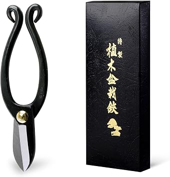 Hanafubuki Wazakura Ikenobo Ikebana Flower Scissors MADE IN JAPAN 6.5inch165mm, Japanese Floral Arranging Tools, Kado Hasami Shears - Ikenobo Black