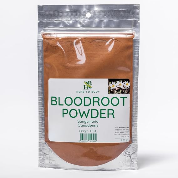Herb to Body Bloodroot Powder 4 oz, Wildcrafted Sanguinaria Canadensis, Dried Blood Root Powder for Herbal Tea and Traditional Uses