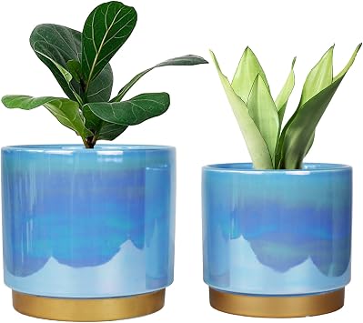 Ceramic Flower Plants Pots Planter with Drainage Hole, 6.0 inch+5.0 Inch. Indoor-Outdoor Large Round Succulent Orchid Pot Set (Blue)