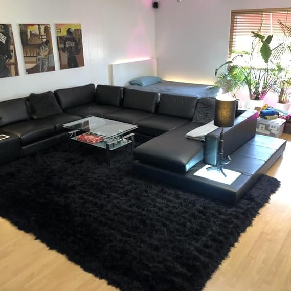 Glorious 5x7 Feet Light Grey Shag Area Rug Solid Soft Plush Pile Shaggy Modern Contemporary Decorative Designer Indoor Carpet (Black, 5x7 Feet)
