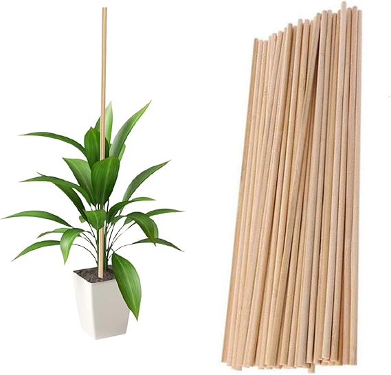 Plant Support Sticks, 45pcs 40cm Reusable Bamboo Plants Support Flower Stick Garden Tools for Garden Canes