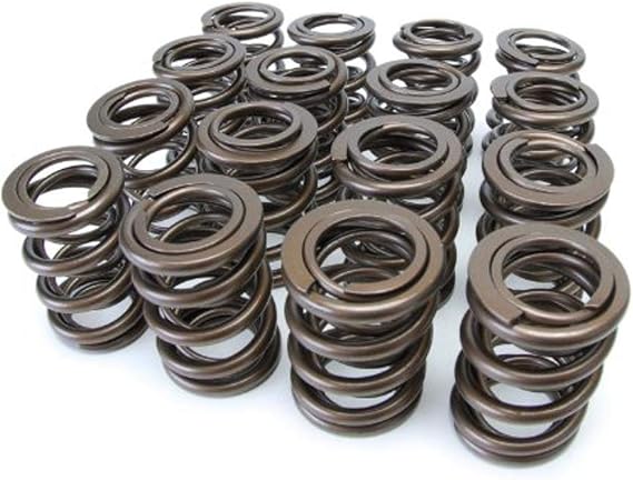 Skunk2 Racing 311-05-7380 Pro Series XP Racing Valve Spring Kit for Acura Honda K Series