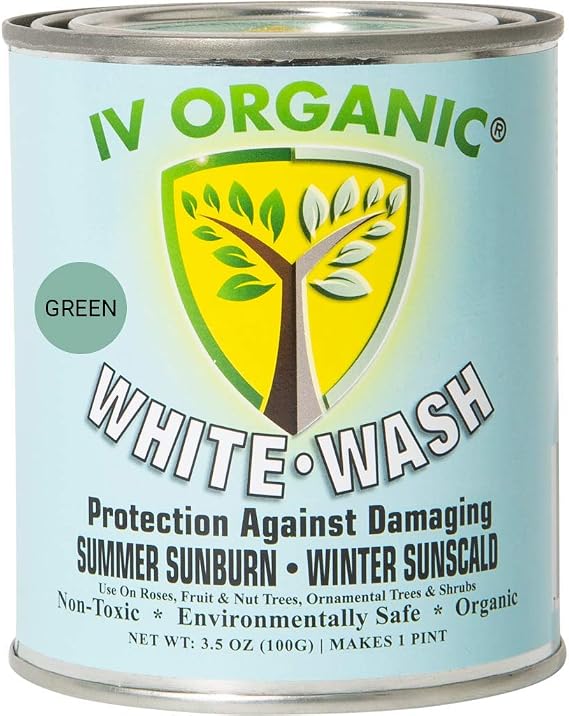 White Wash, 1 Pint (Green)