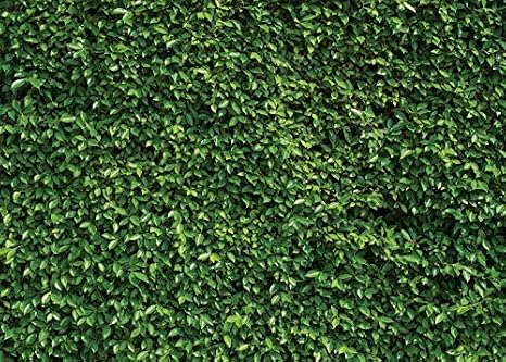 Green Leaves Backdrop Grass Backdrop Natural Green Lawn Party Photography Birthday Newborn Baby Lover Wedding Photo Studio Props 10923 (8x6FT)