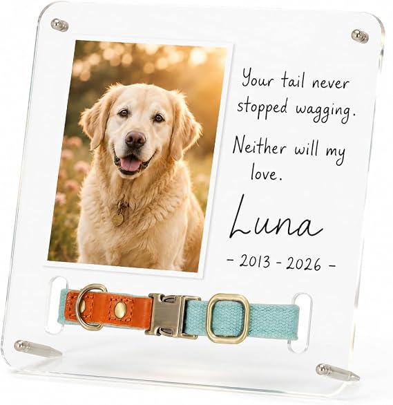 Pet Memorial Frame with Collar Holder, DIY Pet Remembrance Keepsake