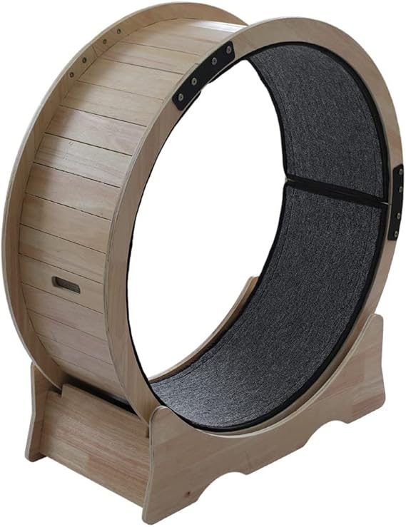 Cat Exercise Wheel, Cat Wheel Workout Game Trainer for Cats