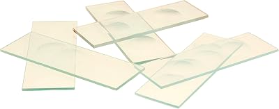 EISCO Microscope Slides with Single Concavity, 10PK