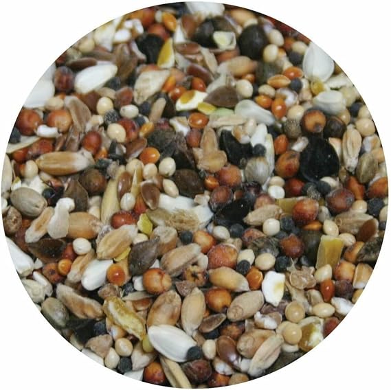 Copdock Mill Pigeon Conditioning Seed 12.5kg – Premium All-Season Racing Pigeon Feed with Aniseed Oil for Strength, Endurance & Health