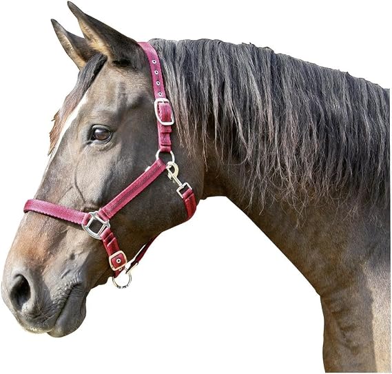Kerbl Mustang Head Collar