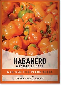 Gardeners Basics, Orange Habanero Pepper Seeds for Planting Heirloom Non-GMO Hot Habanero Peppers Plant Seeds for Home Garden Vegetables Makes a Great Gift for Gardeners