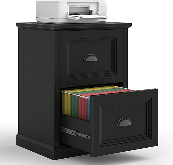 Halitaa Vertical File Cabinet with 2 Drawers for Home Office, Black | Halitaa Farmhouse Filing Cabinet Fits Letter/A4 Size, Wooden Printer Stand with Storage, Small Under Desk File Cabinet