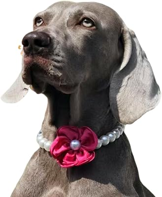 Elegant Pearl Flower Dog Necklace Adjustable & Stylish for Weddings, Birthdays, and Parties