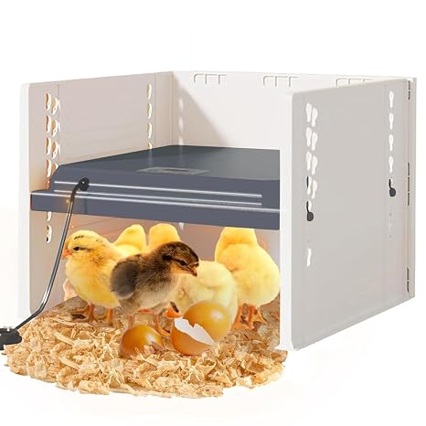Chick Brooder Heating Plate, 10" x 10" Adjustable Temperature Pet Incubator | Heating Lamp with Board Adjustable Angle and Height Chick for Ducks/Poultry for 15 Chicks Brooder Essentials - Black