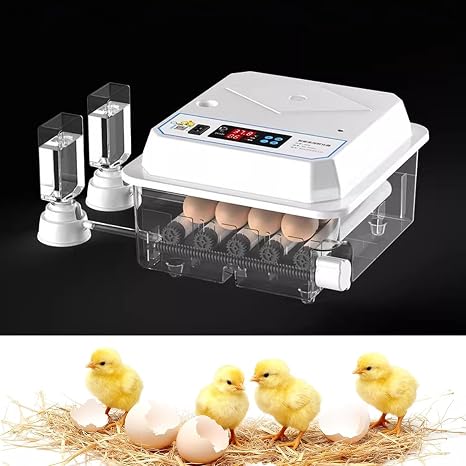 Automatic Egg Incubators for Hatching Eggs, Temperature Control, Adjustable Egg Tray, Eggs Hatcher for Chicken Duck Quail Poultry(9 Eggs)