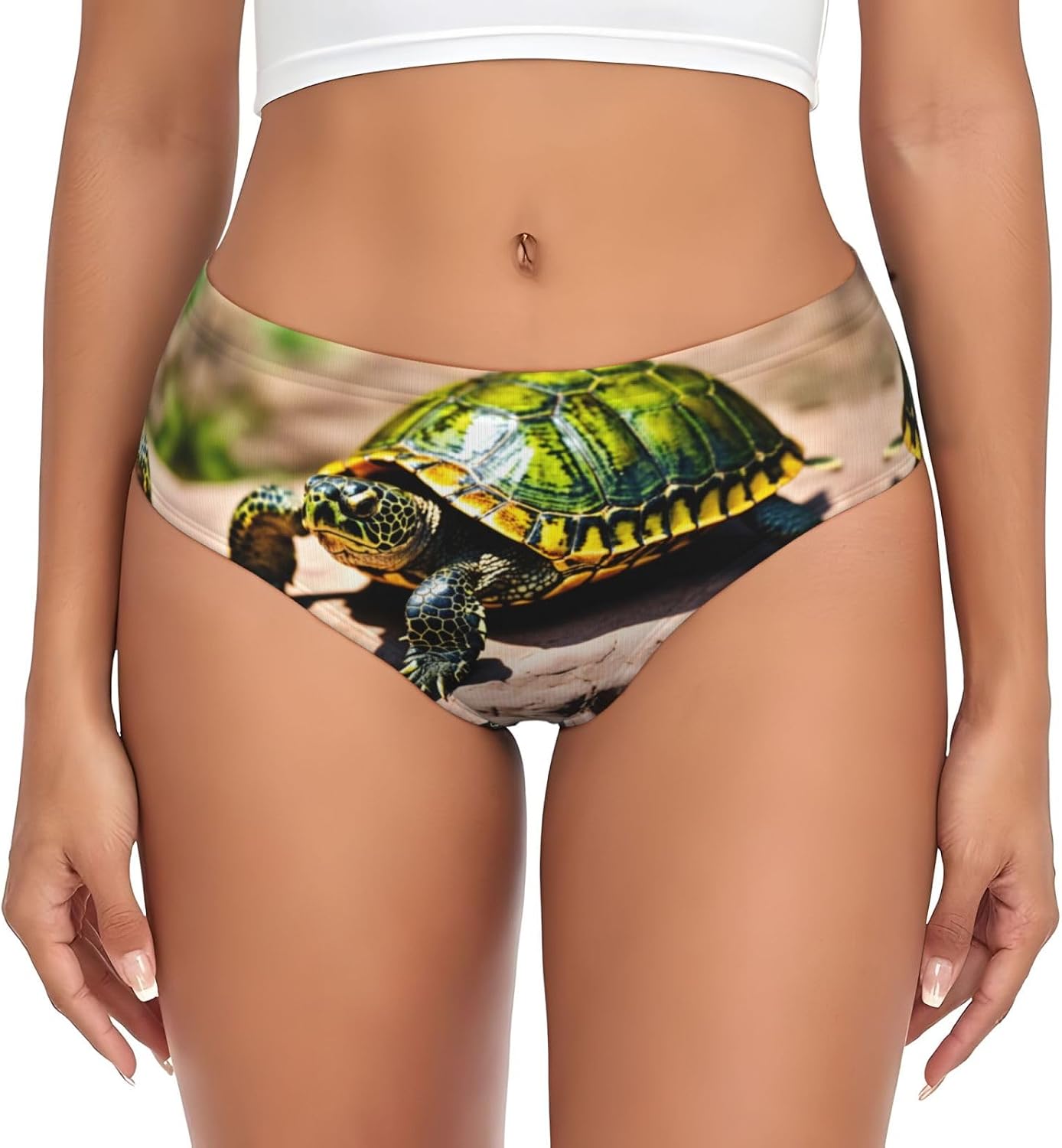 Lord Howe Island Sea Turtle Print Ladies Underwear Stretch Briefs Skin Friendly Panties Everyday Wear All Body Types