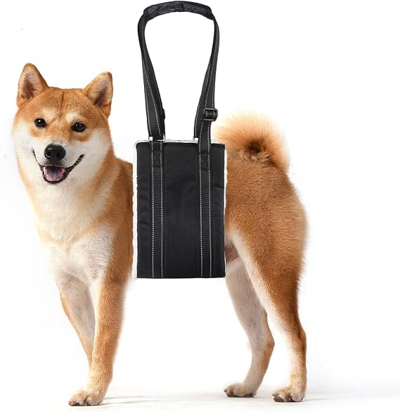 Adjustable Dog Lift Harness Dog Sling Portable Dog Sling (M) | Dog Lift Harness for Large Dogs Soft Lift Support and Rehab Harness for Senior,Injured,Disabled Dogs After ACL Surgery