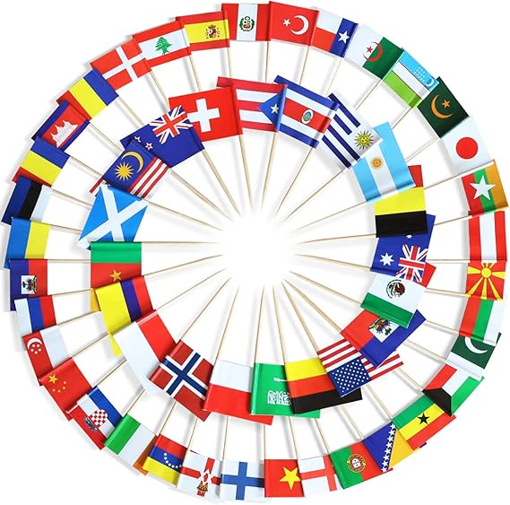 Anley Assorted 100 Different Countries Toothpick Flag - Vivid Double Sided Print & Solid Smooth Pick - Party Decoration Cocktail Fruit Stick Cupcakes Toppers(100 pcs)