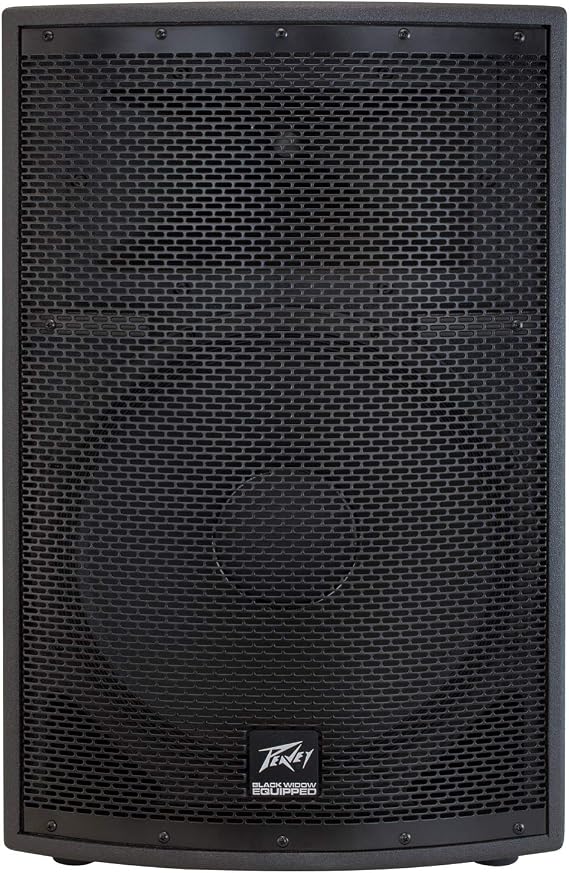 Peavey SP 2 1000-Watt 2-Way PA Speaker | Concert-level output for bands and DJs, punchy lows with clear highs, road-ready enclosure, pairs with external amps
