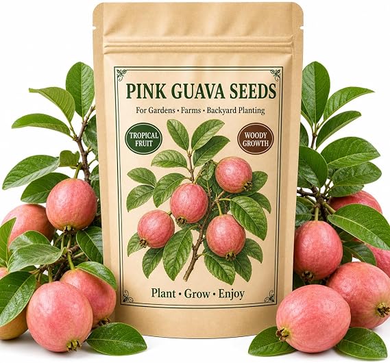 100 Pink Guava Seeds Tropical Sweet Fruit Variety for Containers & Backyard Gardens