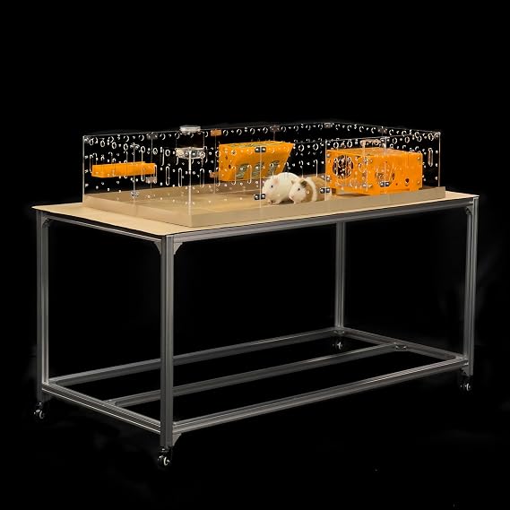 GuineaLoftTM Model-A Acrylic Guinea Pig Cage - Large 4x2ft Expandable C&C | Also Works for Small Roaming Animals Like Rabbits, Button Quails, and Hedgehogs Visit the GuineaLoft Store