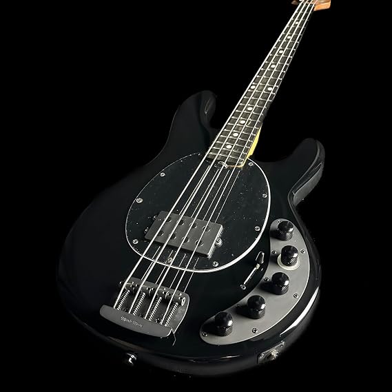 DarkRay Bass Guitar - Obsidian Black with Ebony Fingerboard