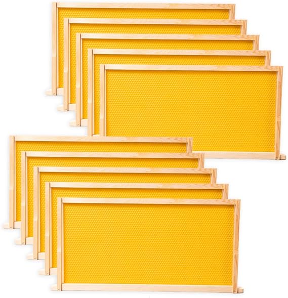 BeeCastle 10 Pack Beehive Frames and Wax Foundations for Deep Brood Bee Hives with Honeycombs Wooden Bee Hive Frames and Beeswax Coated Foundations, 9-1/8-Inch (Yellow)