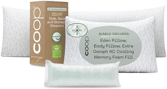 Coop Home Goods Eden Pillow and Body Pillow King Bundle