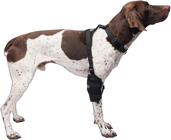 Caldera Pet Therapy Universal Wrap Carpal/Elbow with Gel, Medium, Black (PET205)