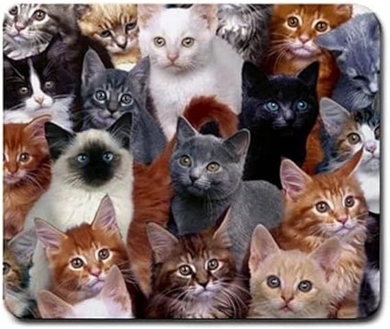 Cats Galore Mouse Pad, Square Anti-Slip Rubber Mousepad, Premium-Textured Mouse Mat, Cute Office Mouse Pads for Women Men Computer Laptop