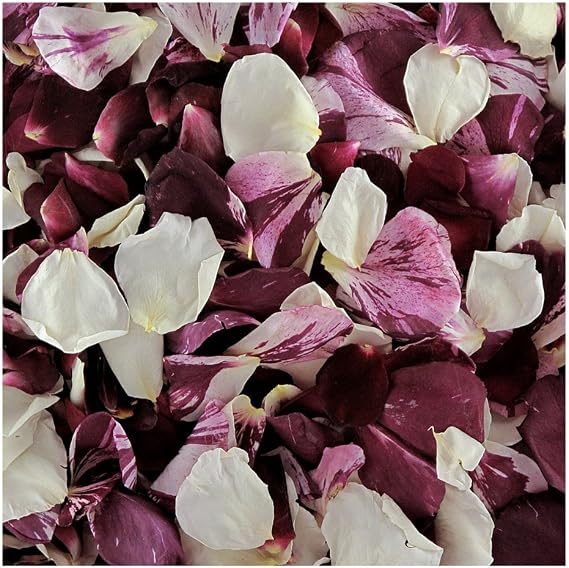 Rose Petals 30 Cups Seduction Blend Wedding Decoration Real Biodegradable Confetti Freeze Dried Made in the USA