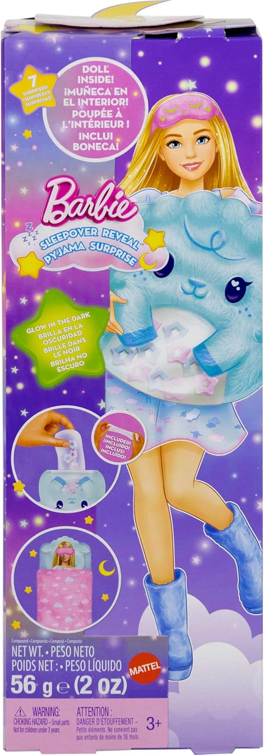 Barbie sleepover dolls and accessories