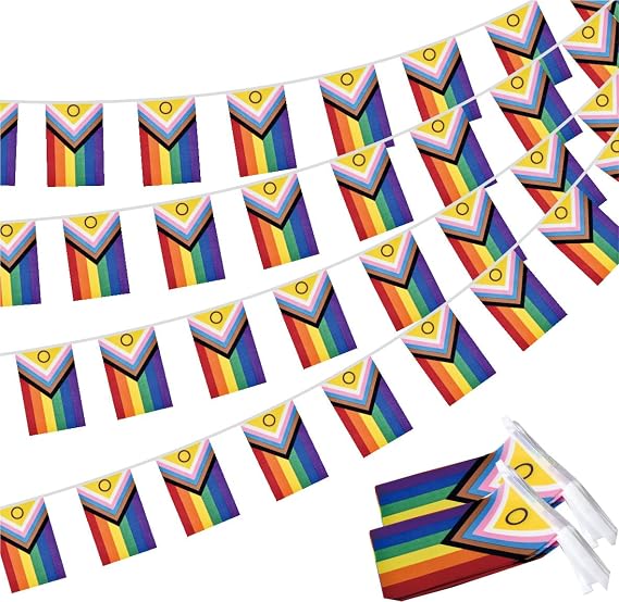 2 Pack New Intersex Progress Pride Flag Banner Rainbow Gay LGBTQ Bunting Garland Decorations 5x8inch 60 Feet String 40 Flags