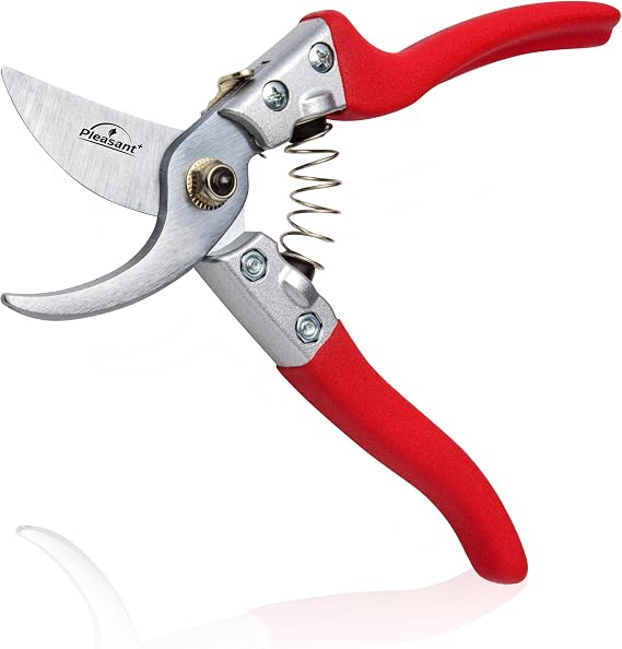 Pleasant + Pruning Shears, Secateurs 8'' Professional-Grade for Garden, Bonsai, Plants and Tree - Taiwanese and Replaceable Blade, Ergonomic, Durable Aluminum Handles