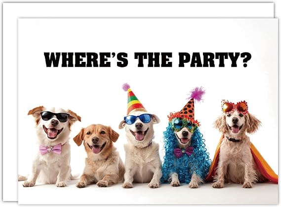 Gooji 5x7 Where's Party Dogs Birthday Card Funny Birthday Cards for Women Fun Happy Birthday Card for Husband and Wife Mom, Dad, Best Friend, Son, Daughter