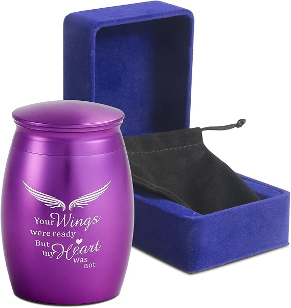 Small Urns for Human Ashes Keepsake, Mini Urns for Human Ashes with Angel Wings, Memorial Gifts for Loss of Loved One - Unique Travel Urn Miniature Ash Holder Tiny Urn