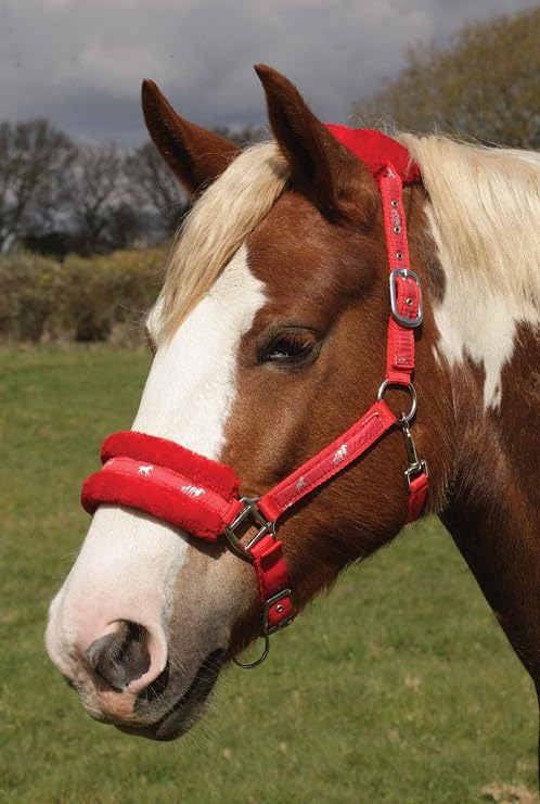 Rhinegold Logo Headcollar fleece trim