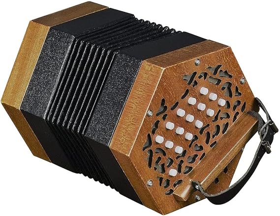30 Button Accordion Concertina, Attractive Soft Sound, Entry-Level Keyboard Instrument for Kids Friends, with Carry Bag