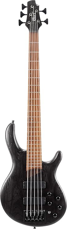 Cort Artisan Series B5 Element 5-String Bass Guitar, Open Pore Transparent Black
