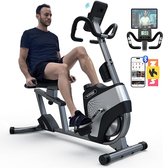 Magnetic Recumbent Exercise Bike, Recumbent bikes for Adult and Seniors, Recumbent Exercise bike for Home 350 lbs Capacity